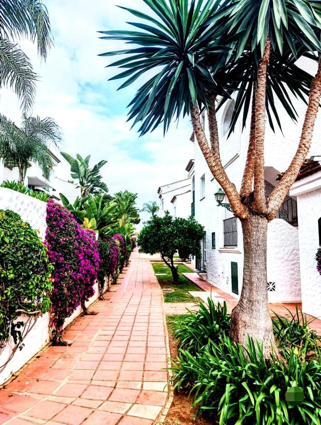 Paraiso Y Mar Daire Estepona Dış mekan fotoğraf
